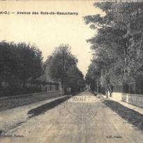 Avenue des Bois de Beauchamp (avenues V. Basch - P. Sémard)